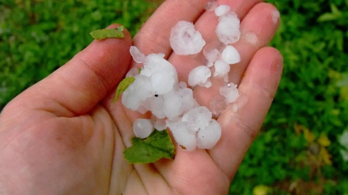 Tempestes i alerta taronja a Tarragona