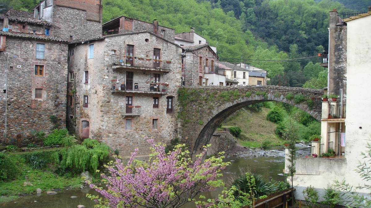 pont-vell-osor-selva