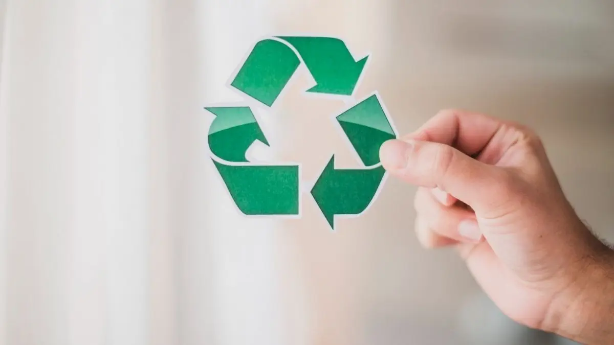 Brossa al costat d&rsquo;un contenidor de Cunit