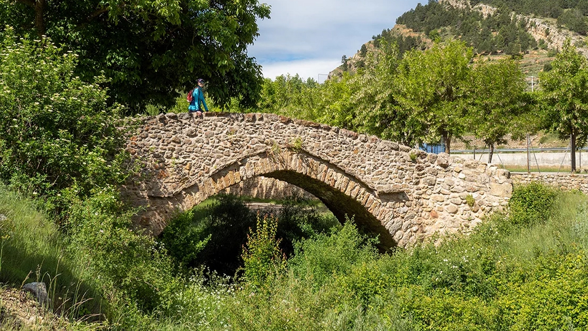 pozo-navarro-pino-obrado-terol