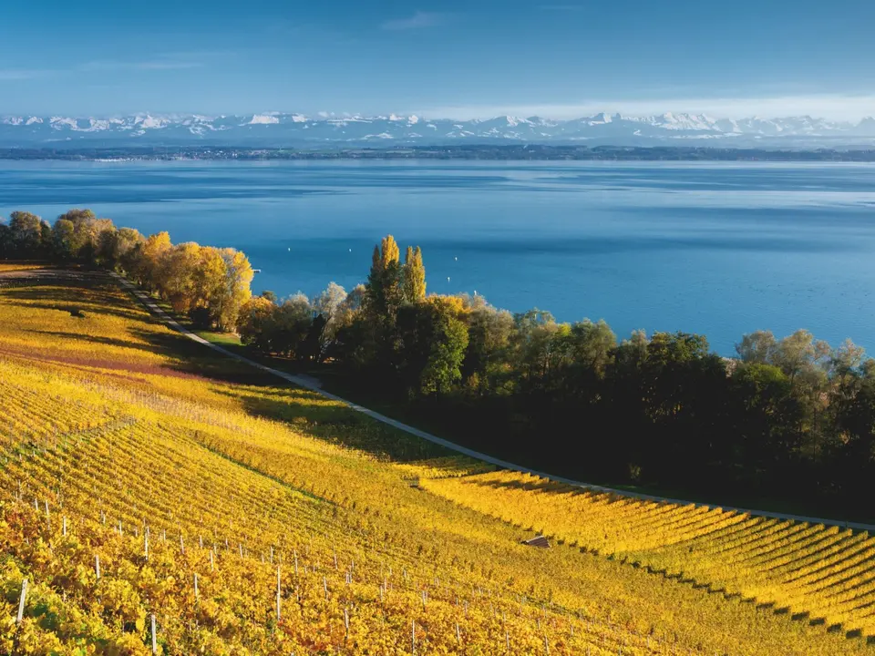 llac-de-Neuch&acirc;tel-su&iuml;ssa-swissactivities.com