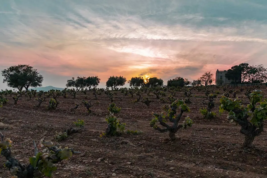Pepe Ravent&oacute;s amb l&rsquo;escum&oacute;s Muntanya 2024 a Can Sumoi. Imatge cansumoi.cat