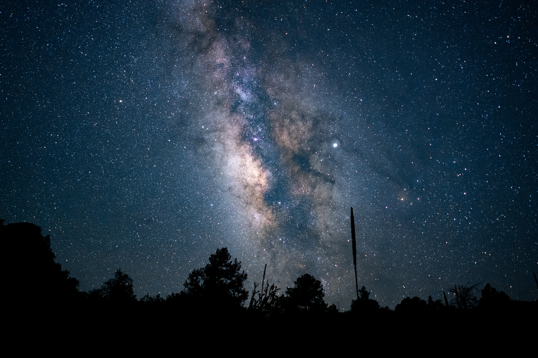 hermoso-tiro-de-angulo-bajo-de-un-bosque-bajo-un-cielo-nocturno-estrellado-azul