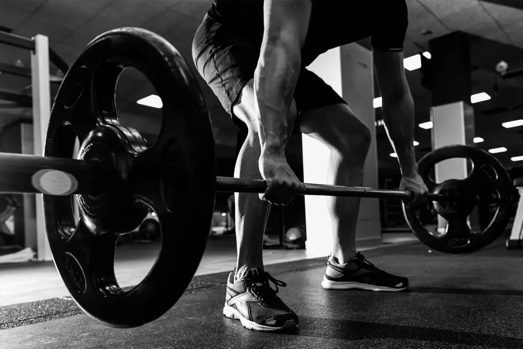 Andalusia deduccions gimn&agrave;s i mascotes