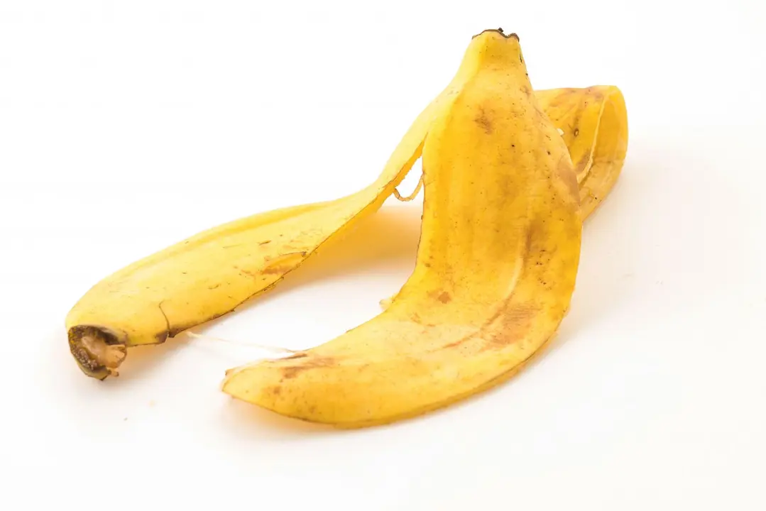 C&agrave;scara de pl&agrave;tan en vinagre per al jard&iacute;