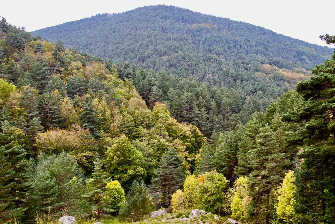 Picos de Urbi&oacute;n - Wikipedia