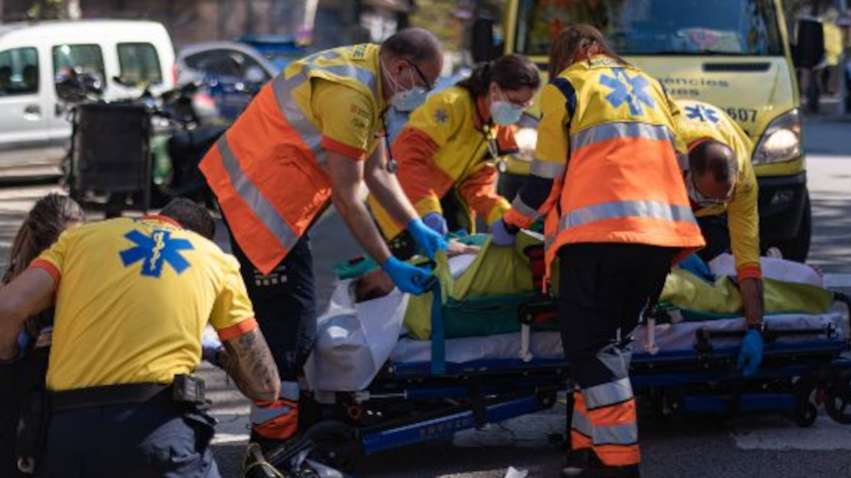 SEM-en-acci&oacute;-Gencat