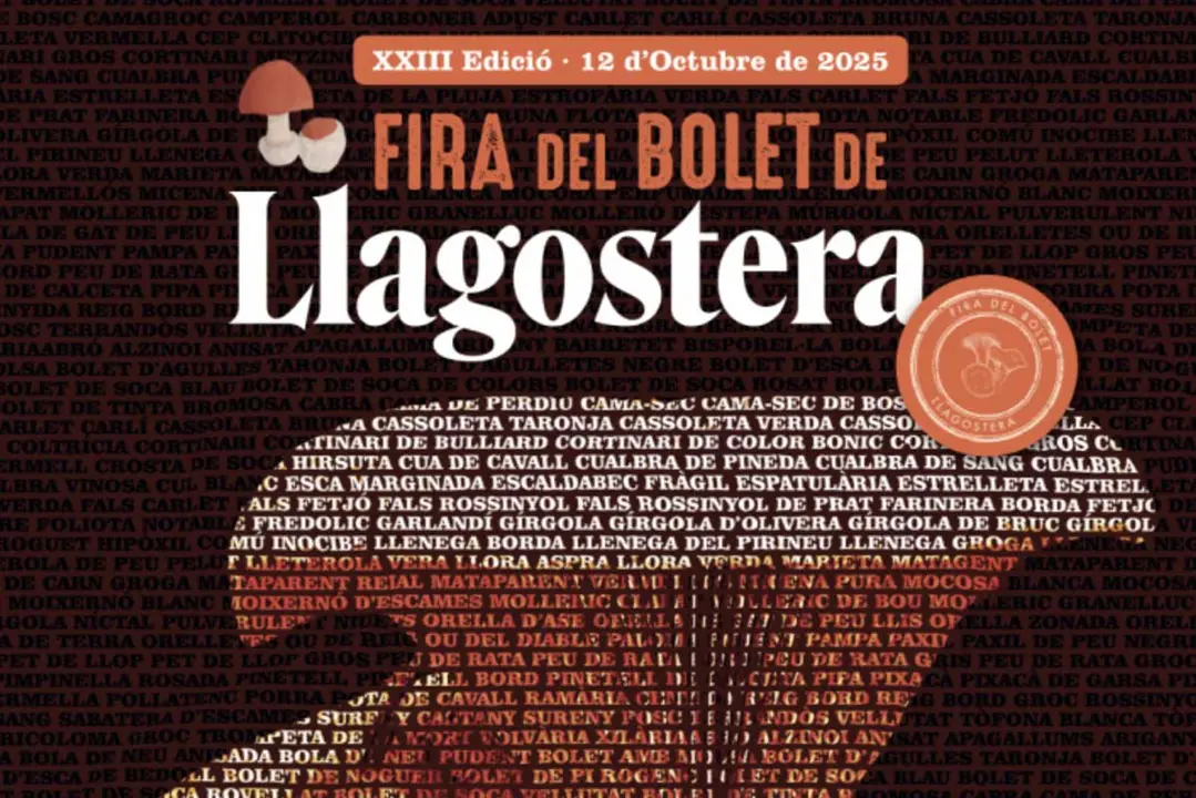 Bolets i gent a la Fira del Bolet de Llagostera. Imatge llagostera.cat