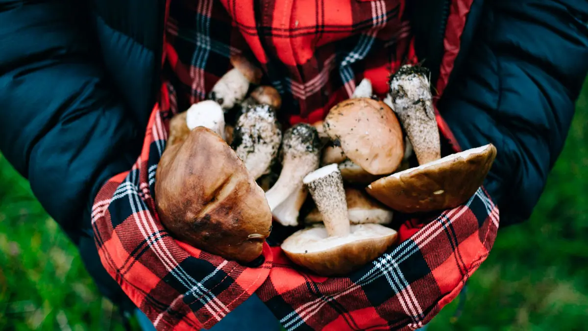 Serra del Maigm&oacute; i del Sit, el refugi verd d&rsquo;Alacant
