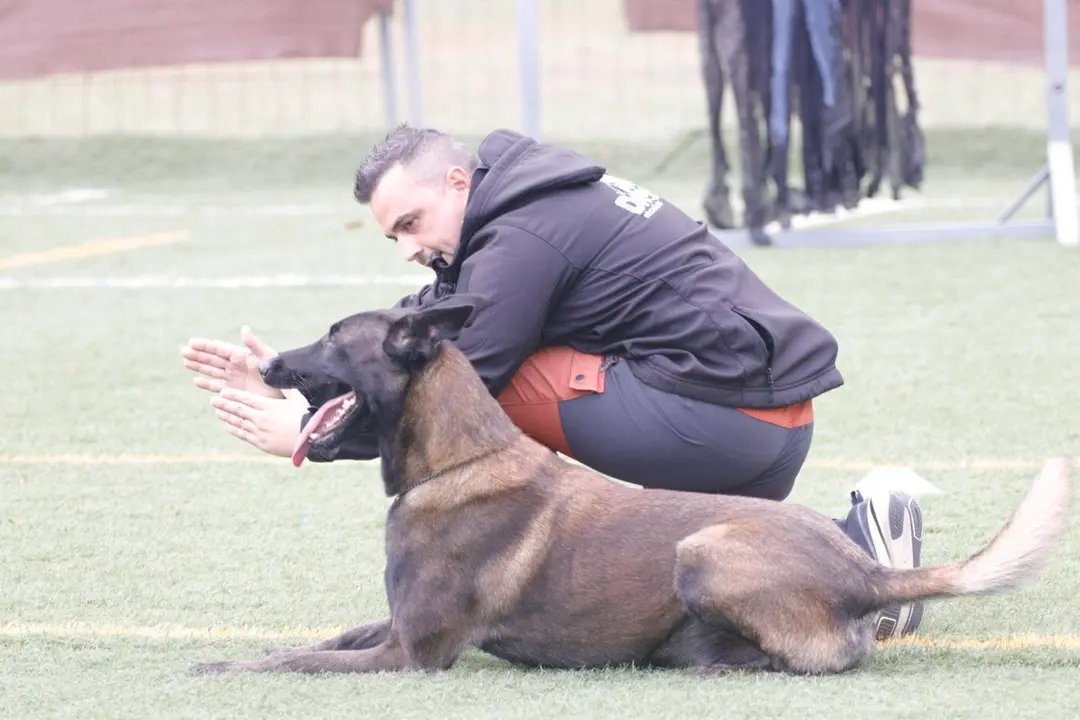 david.parrafernandez