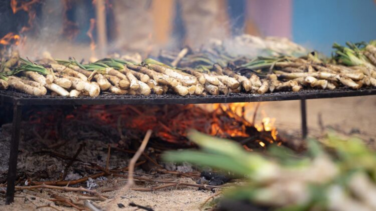 cal&ccedil;ots-coent-se