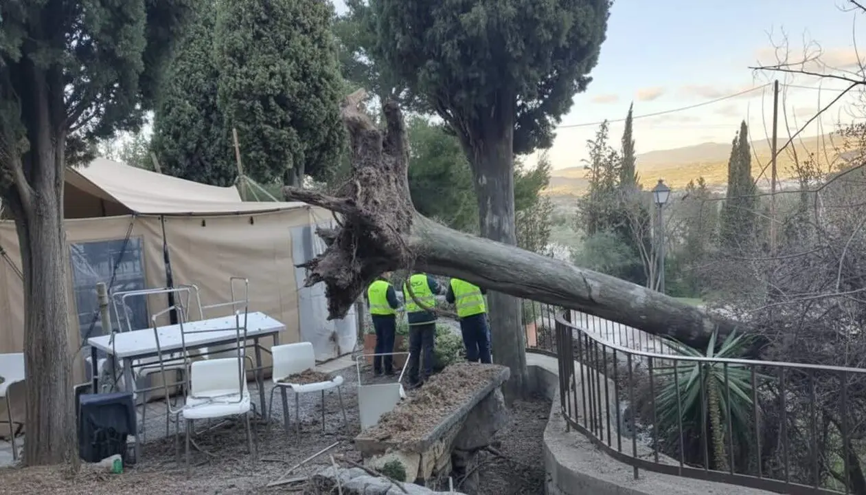 Fort vent a Montblanc causa caiguda d&rsquo;arbres i afectacions a la via p&uacute;blica i servei ferroviari entre ponent i entorn rural