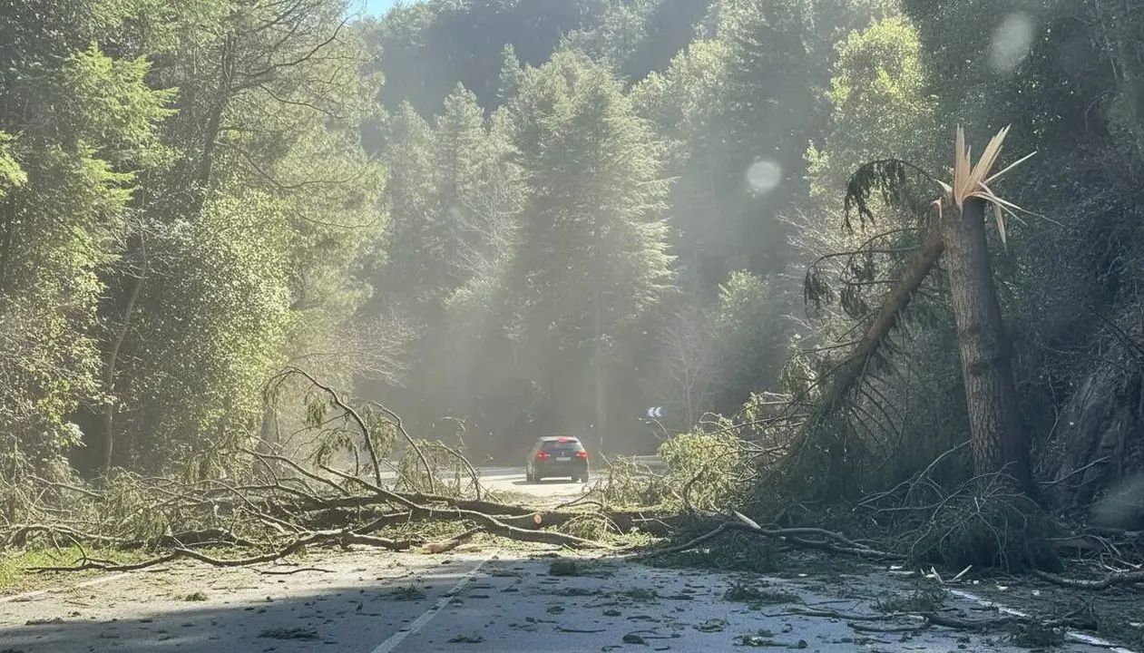 Alerta per fortes ventades al Pirineu i Prepirineu amb sis comarques en risc alt segons Protecci&oacute; Civil