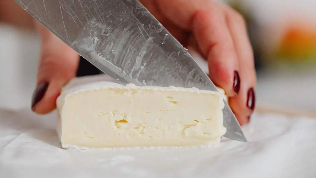 Formatge Camembert a Catalunya contaminat per la bacteria E. coli alerta sanit&agrave;ria i riscos per a la salut p&uacute;blica