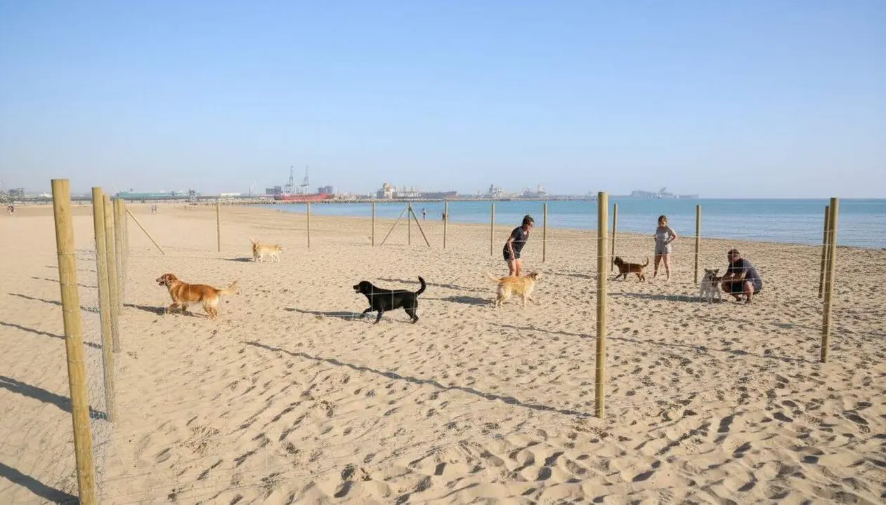 A la Pineda, els gossos ja poden campar per la platja, per&ograve; dins una zona ben delimitada.
