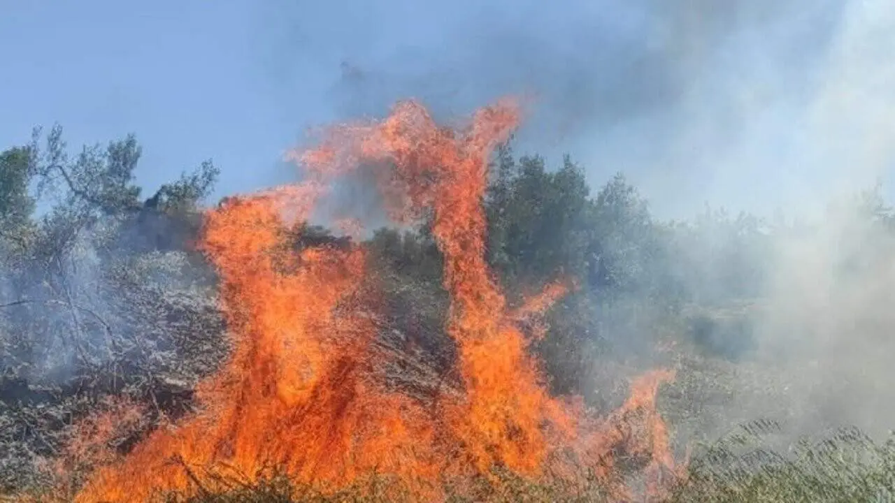 Incendi controlat cremant vegetaci&oacute; a Tivissa en una jornada de primavera plena de fum i flames controlades &mdash; Imagen de la Fuente