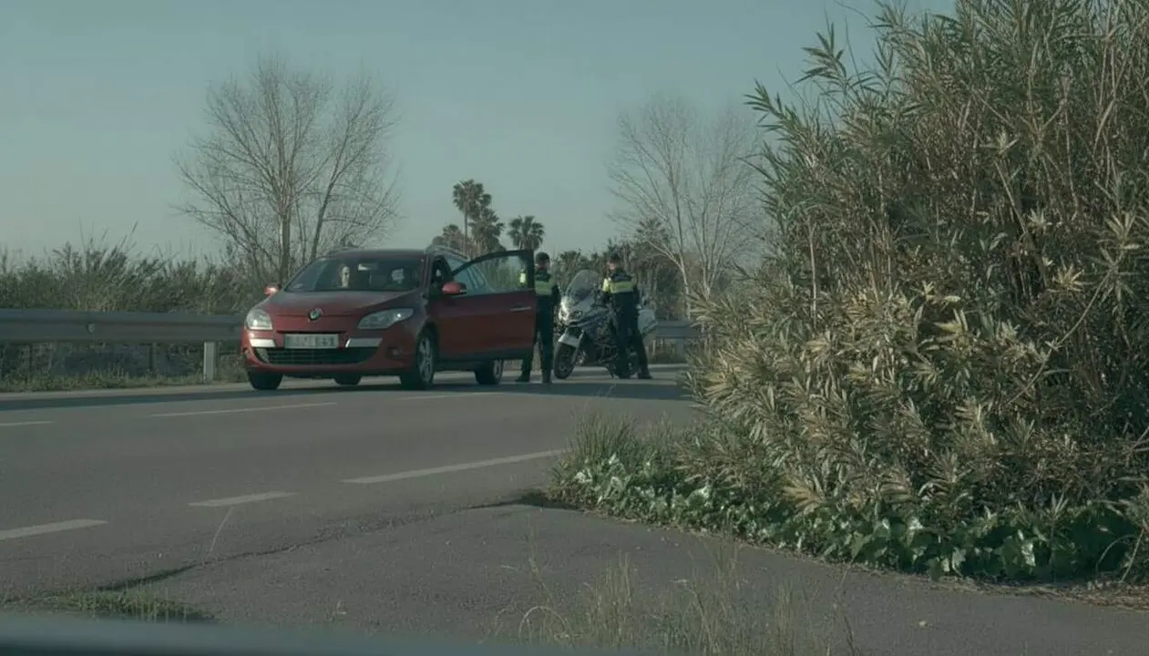 Conductor novel denunciat per amagar un radar dels Mossos d&rsquo;Esquadra ocult darrere d&rsquo;arbustos a la carretera &mdash; Imagen generada por IA
