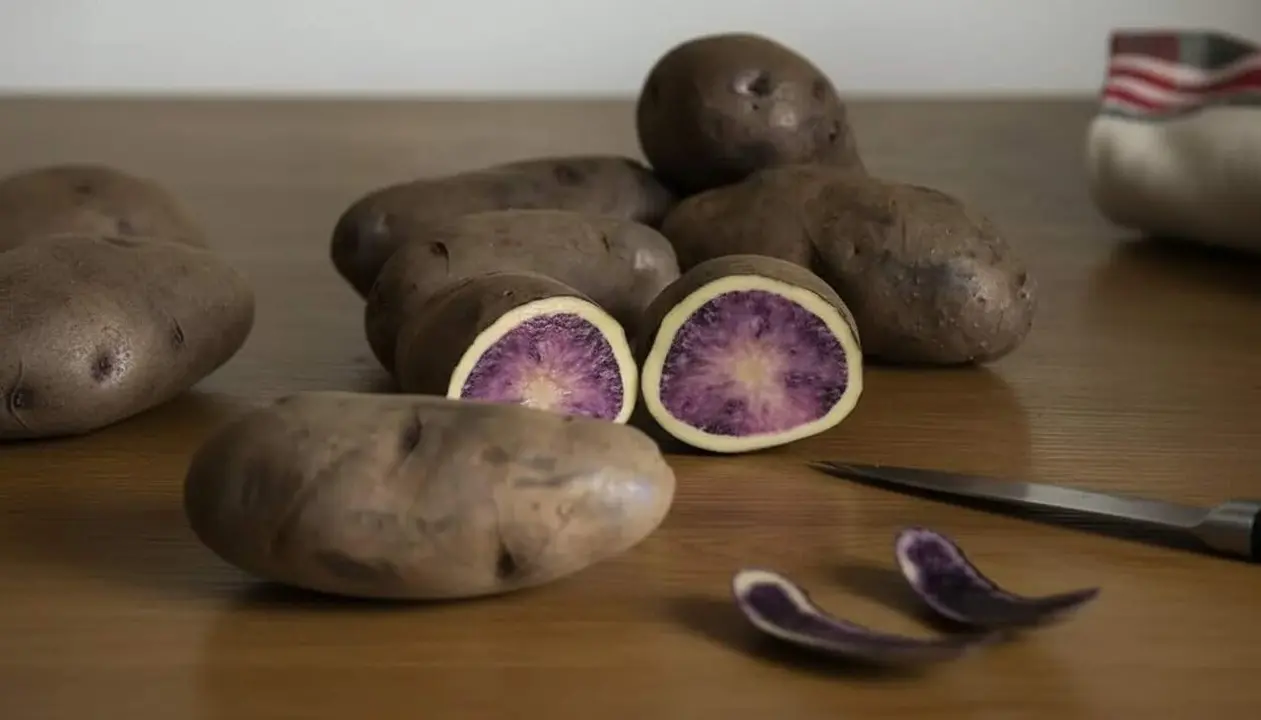  Imatge destacada d&rsquo;Atsegi&ntilde;e la nova patata vasca bicolor amb un 30% m&eacute;s d&rsquo;antioxidants i sense additius artificials &mdash; Imagen generada por IA 