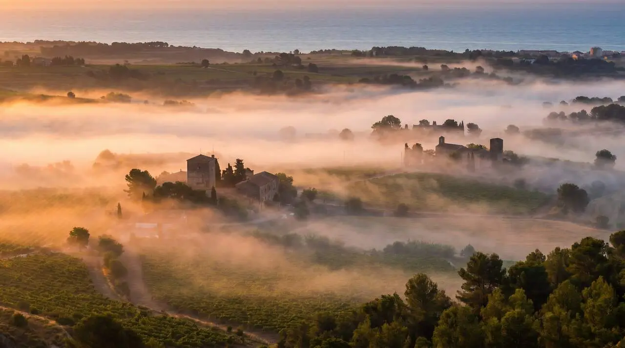  Paisatge matinal amb boires i temperatures estables al Camp de Tarragona en un dia clar i tranquil &mdash; Imagen generada por IA 