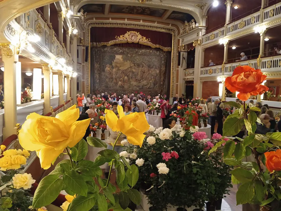 Lliurament dels premis del 79&egrave; Concurs Nacional de Roses a Reus amb flors espectaculars i participants destacats &mdash; Imagen de la Fuente