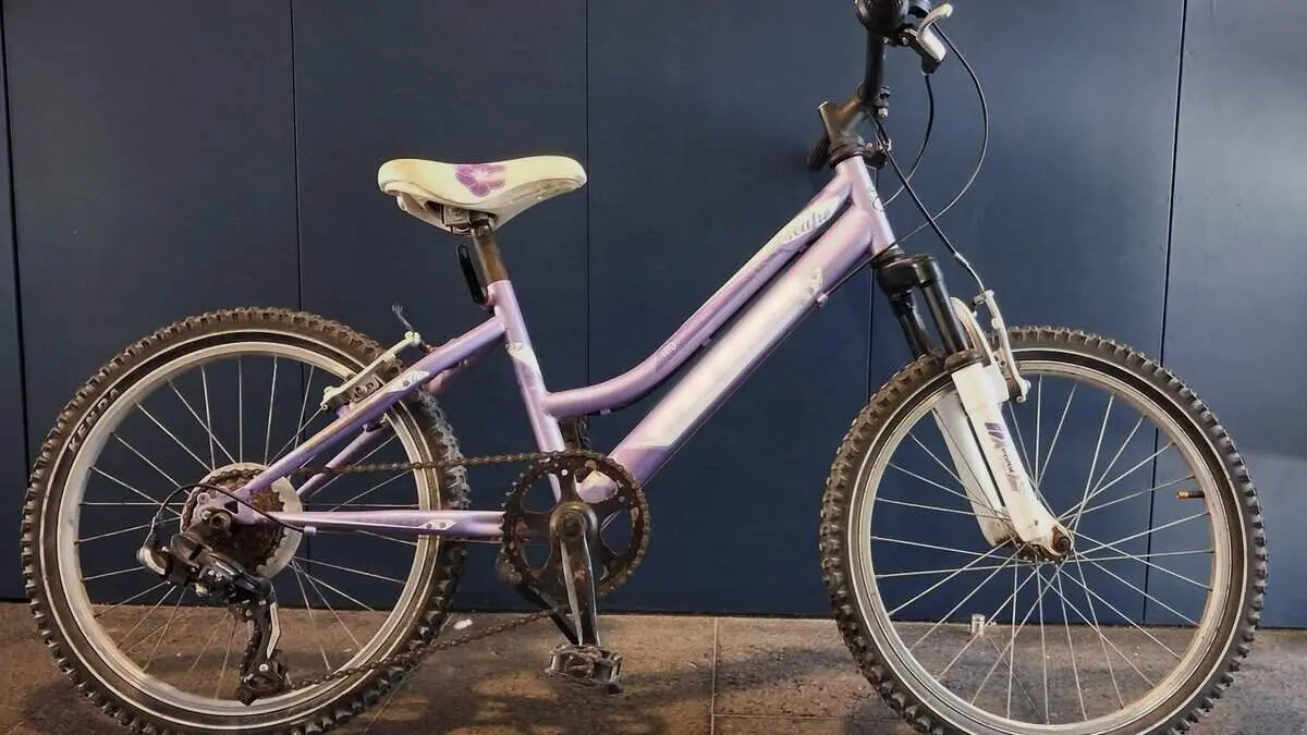  Detenci&oacute; a Montblanc d&rsquo;un lladre de bicicletes despr&eacute;s de recuperar una de les bicis furtades per la Policia Local &mdash; Imagen de la Fuente 