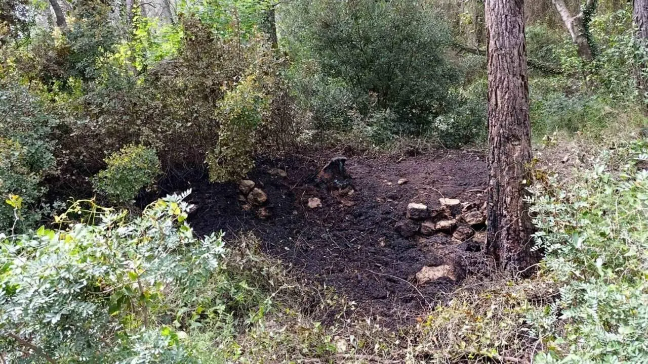  Home i dona detinguts per provocar tres incendis forestals i cremar una m&agrave;quina excavadora al Baix Camp amb ajuda d&rsquo;agents rurals &mdash; Imagen de la Fuente 