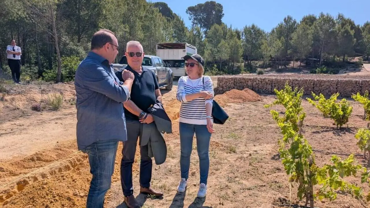  Recuperaci&oacute; de varietats ancestrals de vinya a Salou per preservar la biodiversitat i tradici&oacute; vin&iacute;cola local &mdash; Imagen de la Fuente 