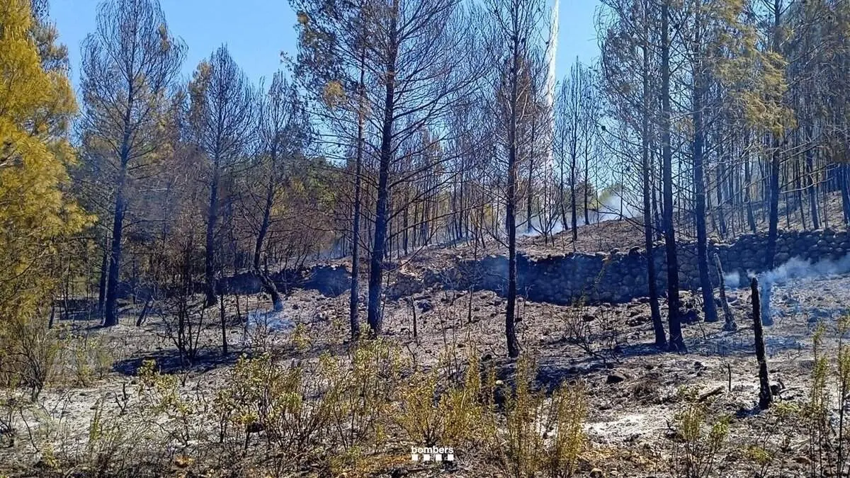  Bomberos treballant en l'extinci&oacute; d'un incendi forestal estabilitzat al cam&iacute; de les Olles amb dotacions terrestres i helic&ograve;pters &mdash; Imagen de la Fuente 