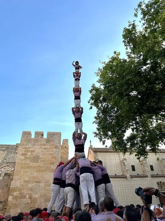Colla Jove de Tarragona descarrega el primer pilar de 7 de la temporada. Imatge de la font