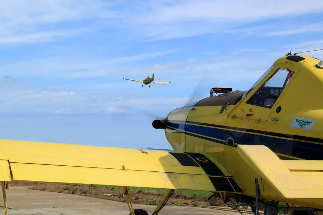 Tractament per eliminar larves en 2000 hect&agrave;rees del Delta de l'Ebre amb equips especialitzats &mdash; Imagen de la Fuente