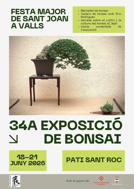  Exposici&oacute; de Bonsai a Va amb mercat, tallers i xerrades del 18 al 21 de juny al Pati de Sant Roc &mdash; Imagen de la Fuente 