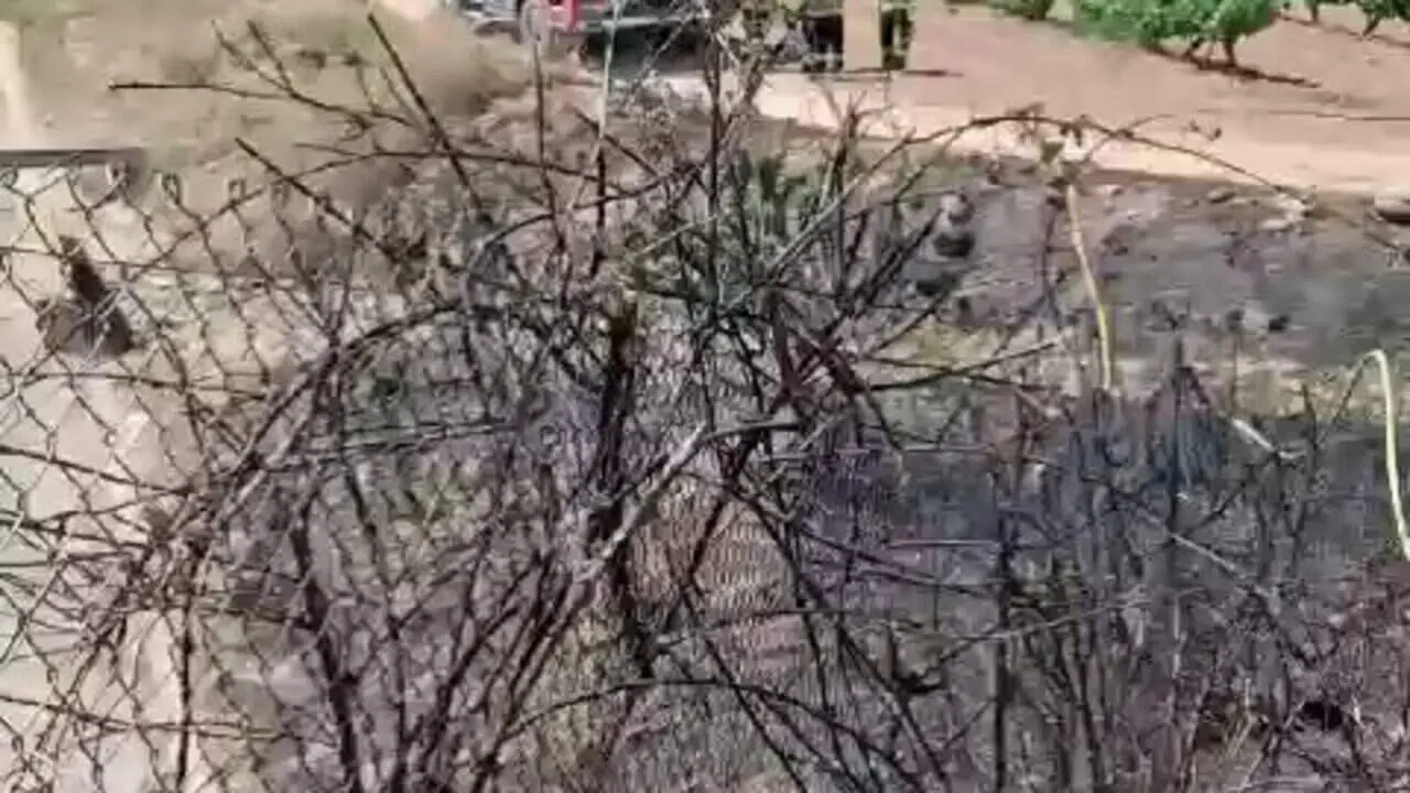  Incendi controlat a Banyeres del Pened&egrave;s prop del km 209,5 de l&rsquo;Ap-7 amb intervenci&oacute; dels bombers &mdash; Imagen de la Fuente 
