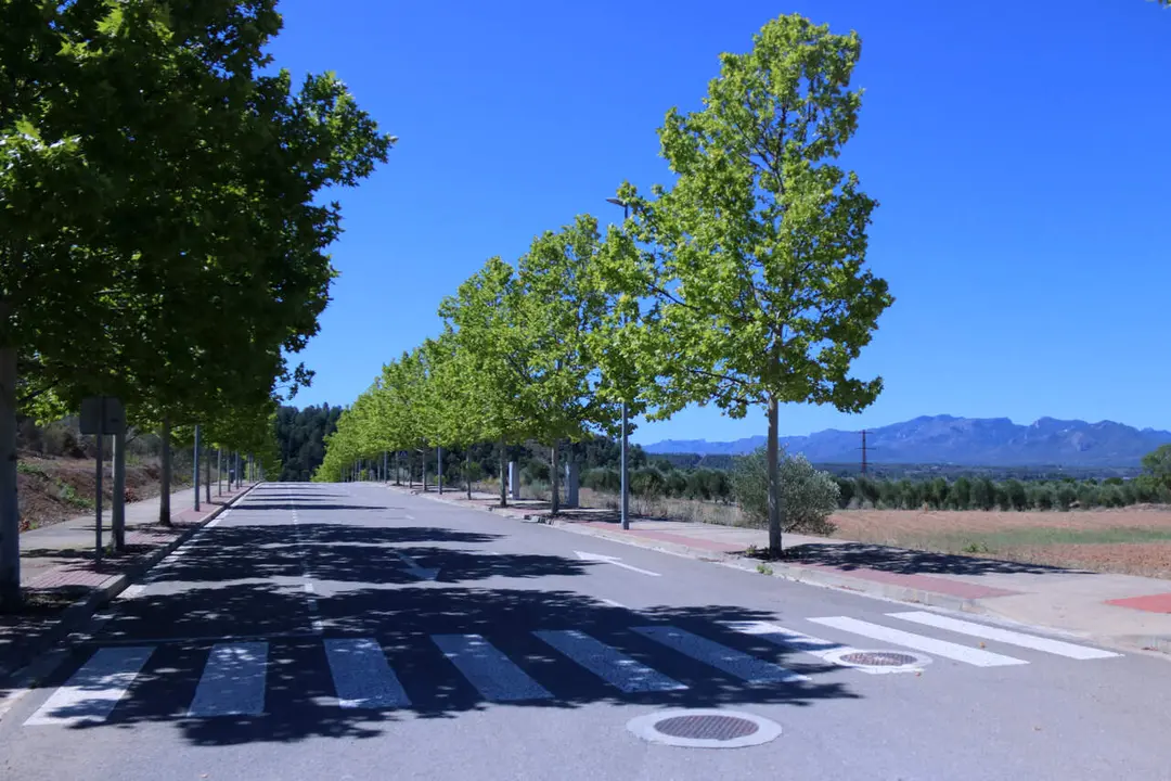 M&oacute;ra la Nova ser&agrave; la seu de la nova gigafactoria d&rsquo;intel&middot;lig&egrave;ncia artificial innovadora a Catalunya &mdash; Imagen de la fuente