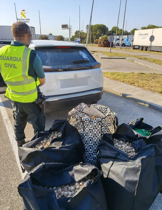 Agents de policia inspeccionant el vehicle amb les c&agrave;psules de planta de l opi confiscades a l Aldea &mdash; Imagen de la Fuente