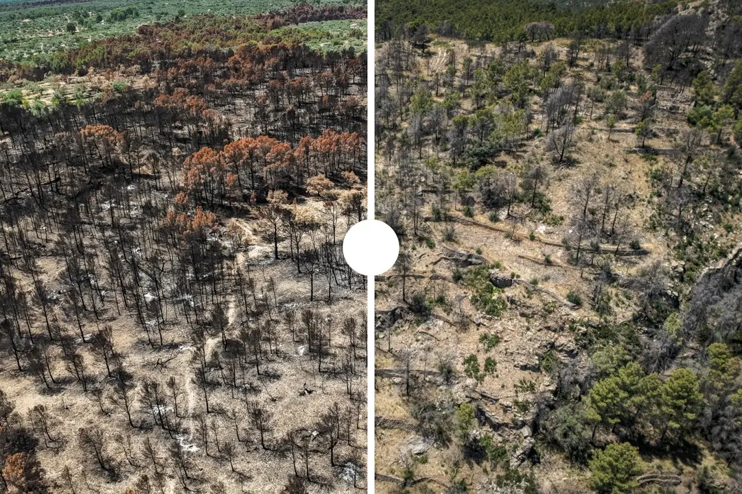 Paisatge cremat de l&rsquo;incendi de Pa&uuml;ls amb les cicatrius que encara marquen m&eacute;s de 3.000 hect&agrave;rees un any despr&eacute;s &mdash; Imagen de la Fuente