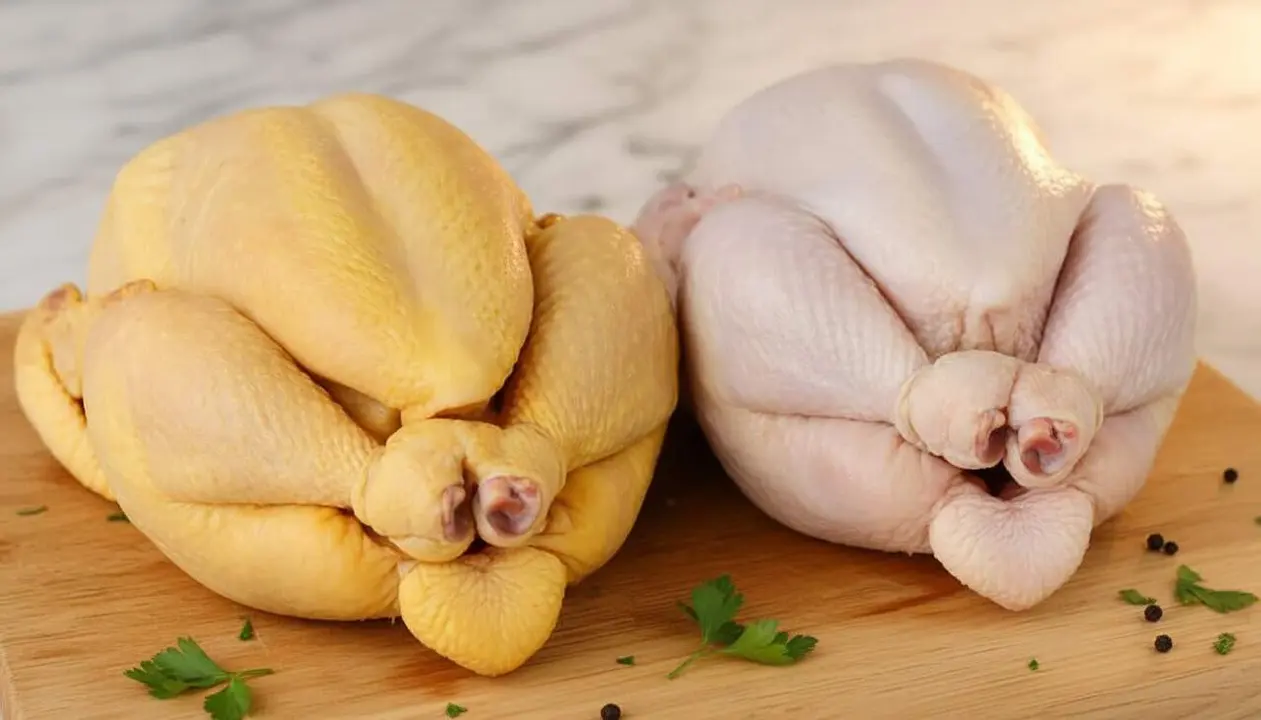 Pollastre amb pell groga i blanca amb consells d'experts per escollir la millor qualitat gastron&ograve;mica natural &mdash; Imagen generada por IA 