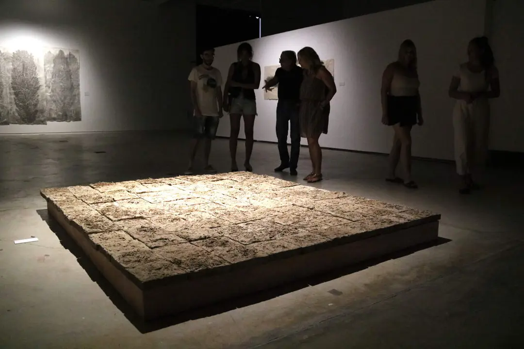 Exposici&oacute; Arbres de Manolo Ripoll&egrave;s a Lo Pati