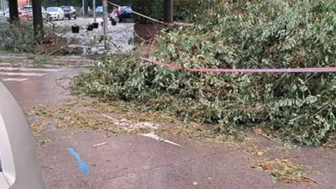  Av&iacute;s de suspensi&oacute; temporal de neteja a carrers de Sant Pere i Sant Pau per danys del temporal a Tarragona - Imagen de la Fuente 