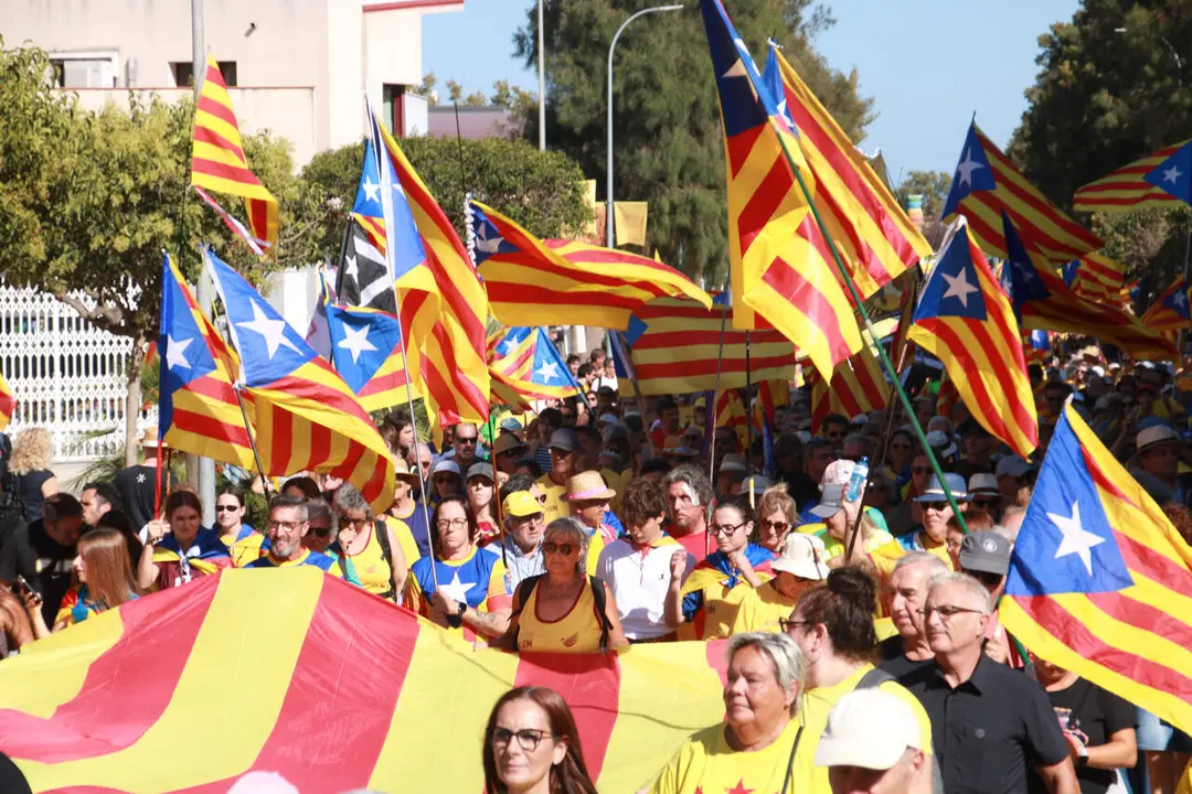 Estelades a la manifestaci&oacute; de l'11 de setembre a Amposta