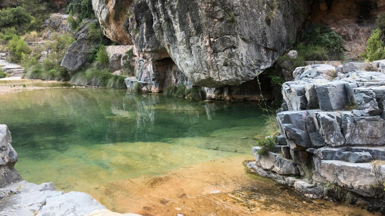 toll-palla-toni-jorda