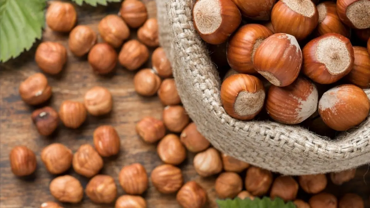 Mostrador amb avellanes importades a la cooperativa Coselva