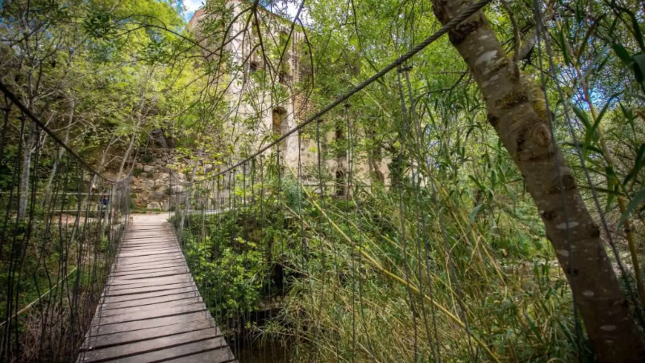 cami-frluvial-del-riu-senia