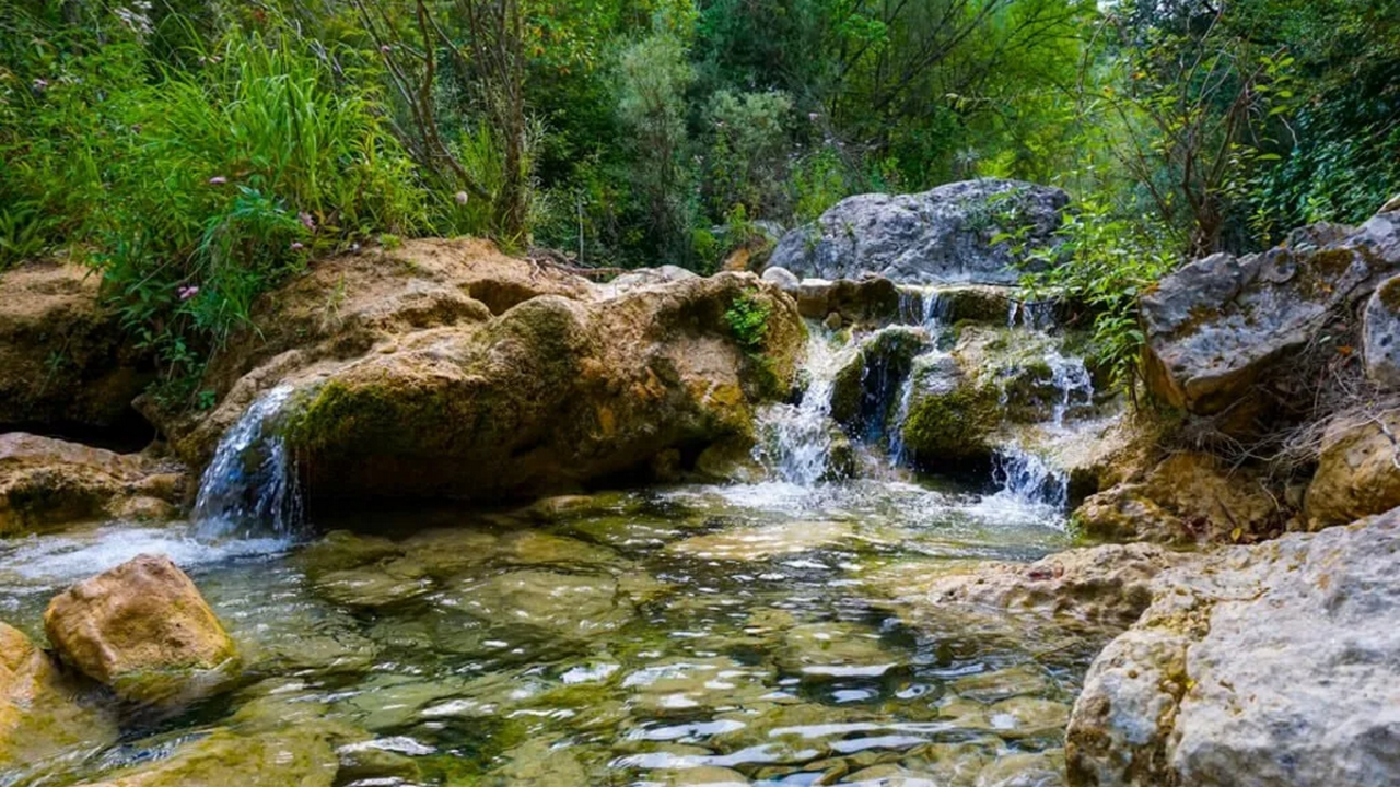 font-ll&uacute;driga-capafonts