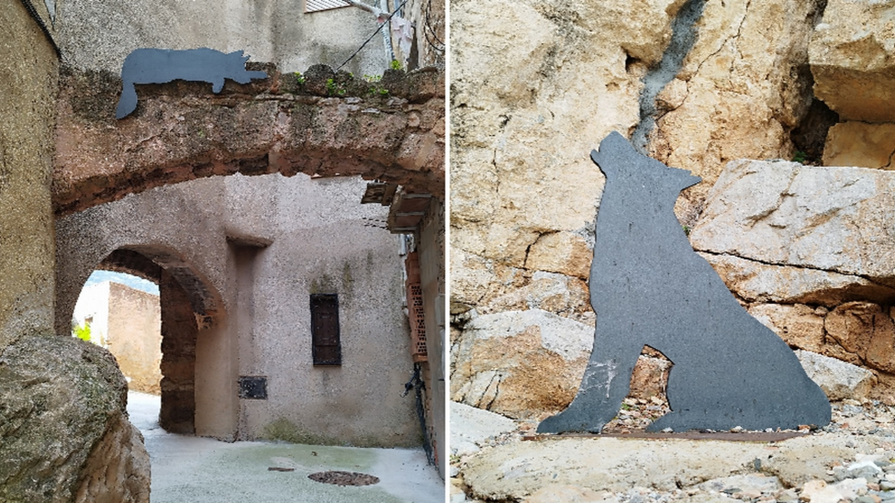 ruta-dels-dips-princesscamper