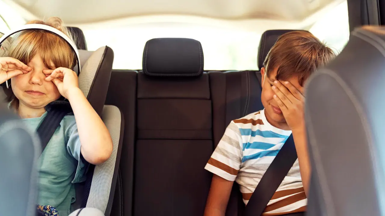 Passatgers amb marejos en cotxes el&egrave;ctrics