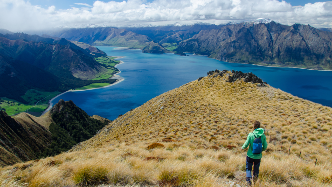 pic-istmo-llac-nova-zelanda