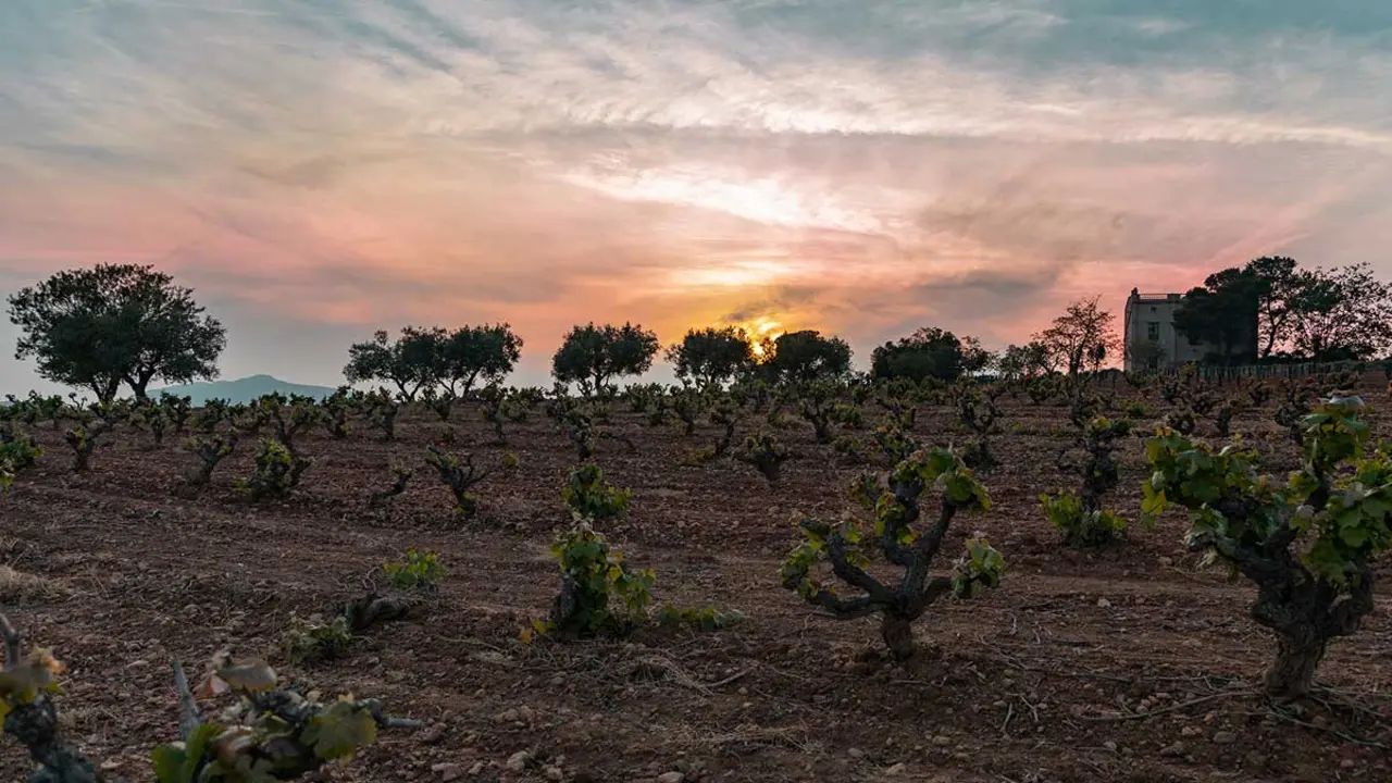Pepe Ravent&oacute;s amb l&rsquo;escum&oacute;s Muntanya 2024 a Can Sumoi. Imatge cansumoi.cat