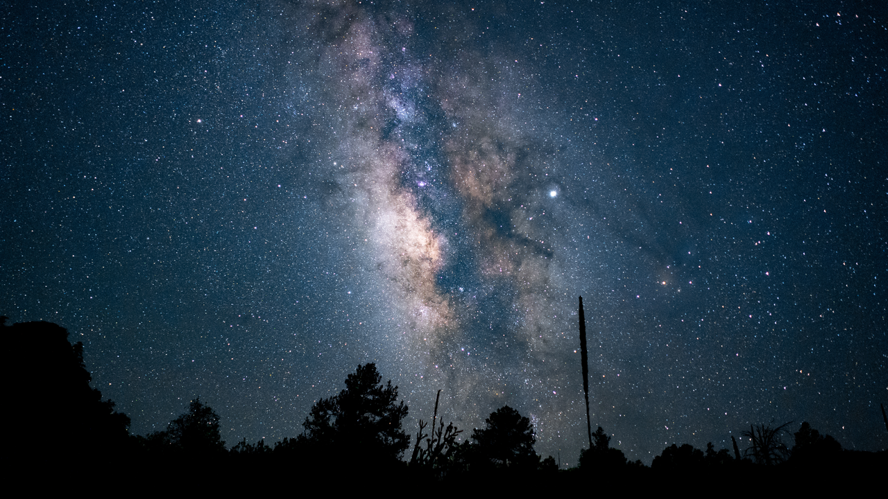 hermoso-tiro-de-angulo-bajo-de-un-bosque-bajo-un-cielo-nocturno-estrellado-azul