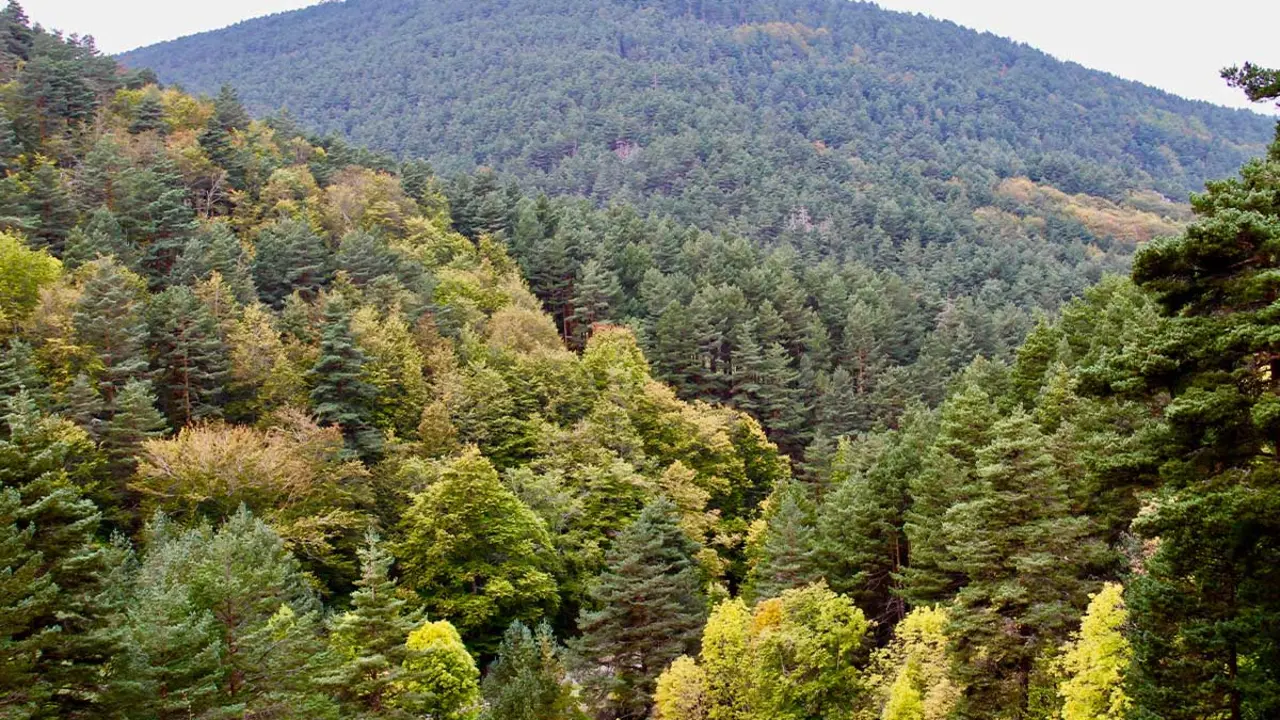 Picos de Urbi&oacute;n - Wikipedia