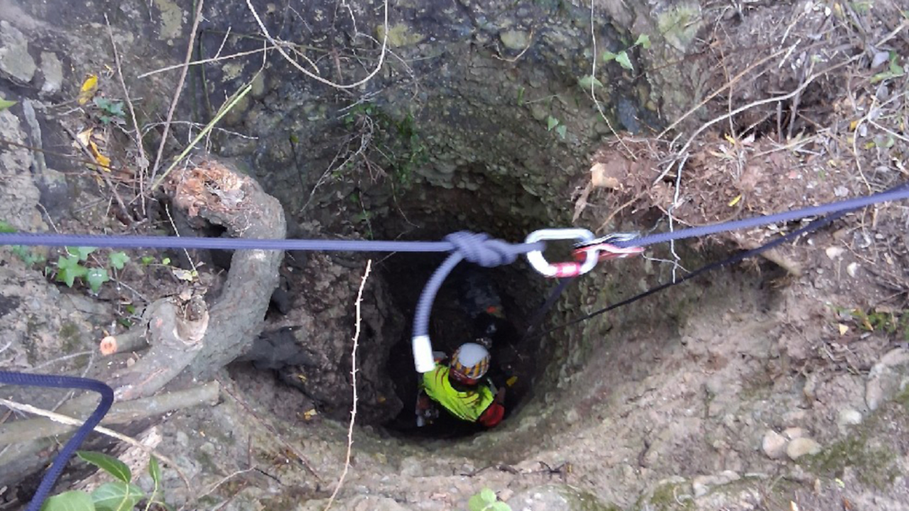 bombers-pou-rescatant-gos_